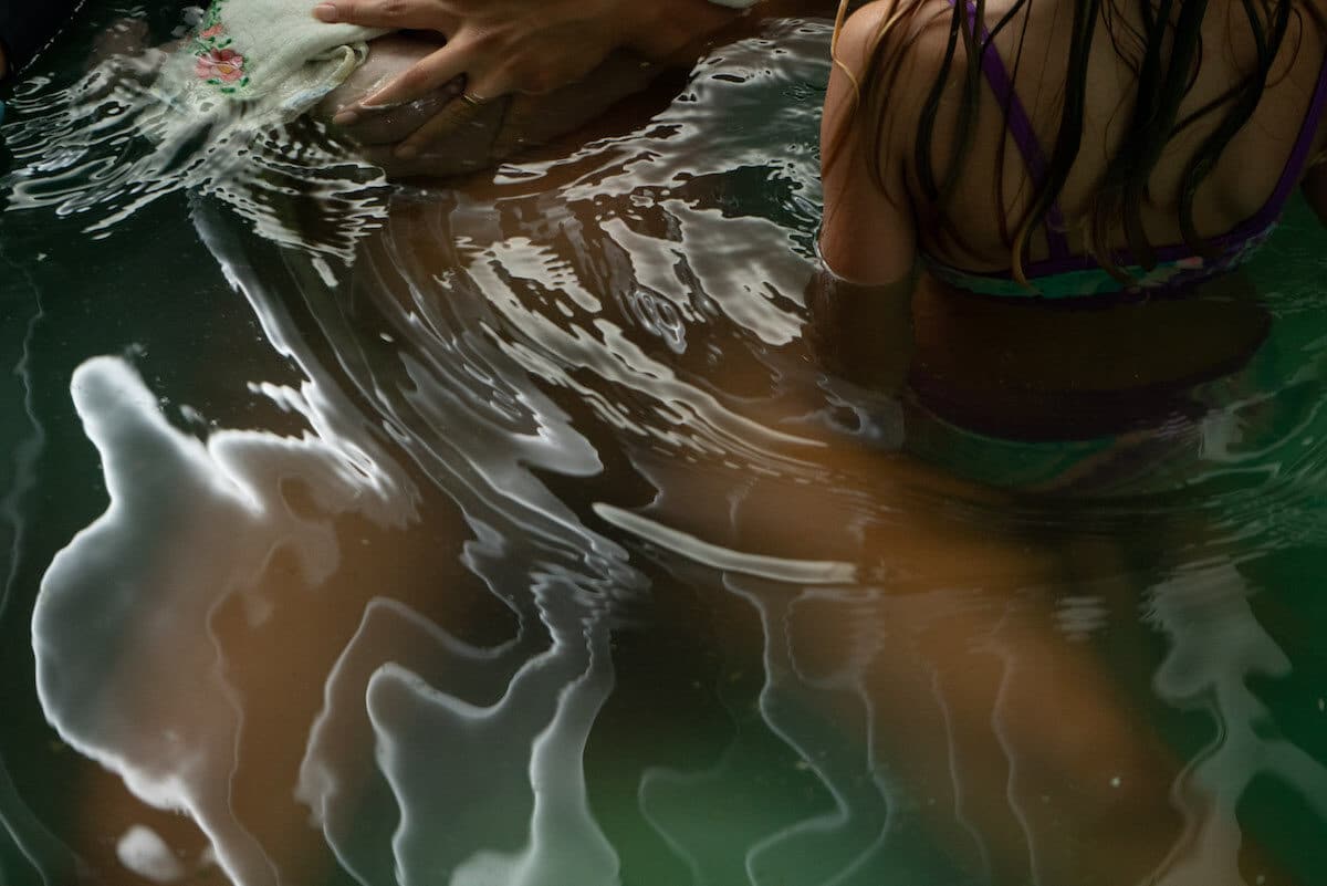 © Elizabeth Hibbard