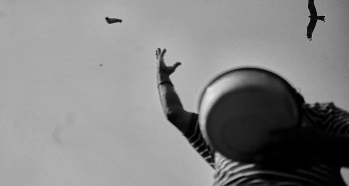 © Raphael Schumacher