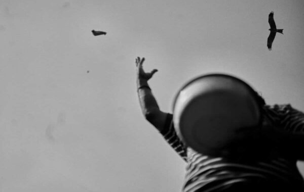 © Raphael Schumacher