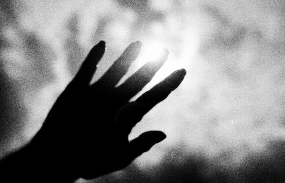 © Stéphanie Di Domenico