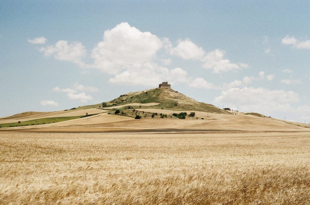 © Domenico Matera 