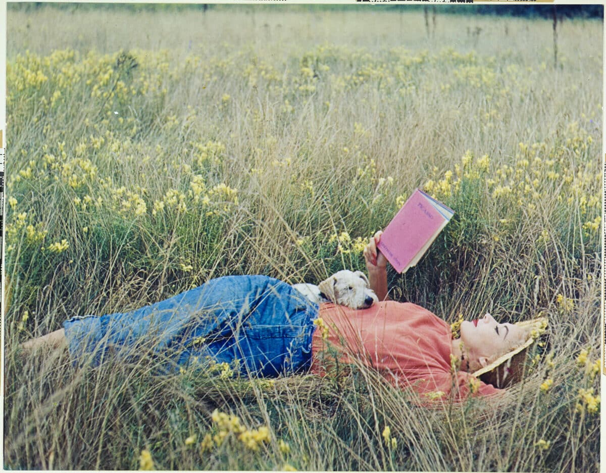 IRVING PENN, Lisa Fonssagrives-Penn lying in a field of grass, reading Gertrude Stein’s Picasso book, 1952, Vogue © Condé Nast 