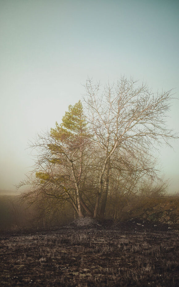 © Jonathan Pourchet