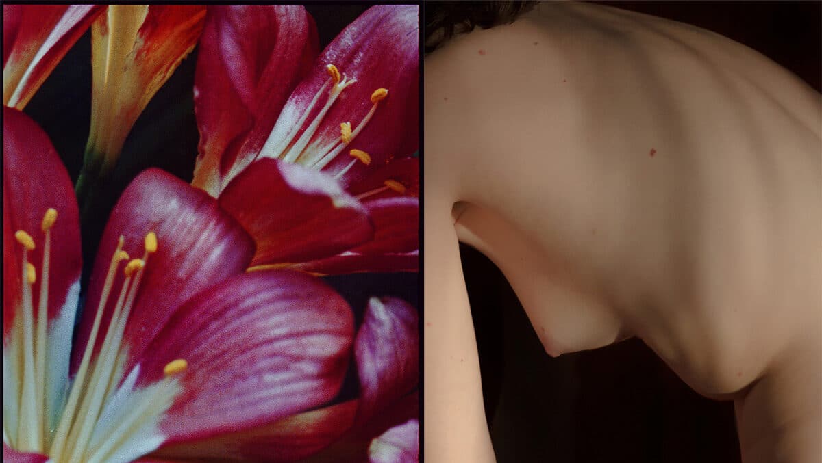 © Juliette Alhmah