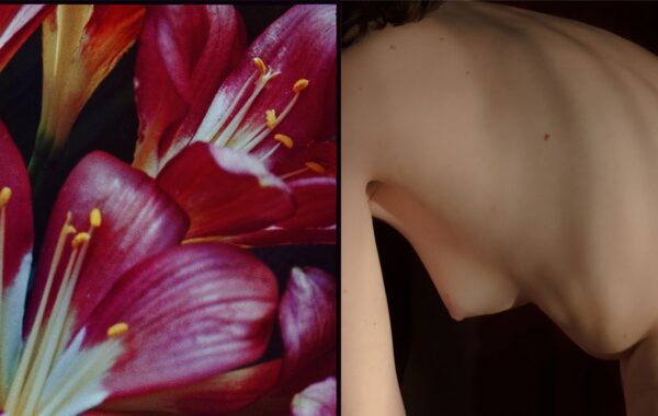 © Juliette Alhmah