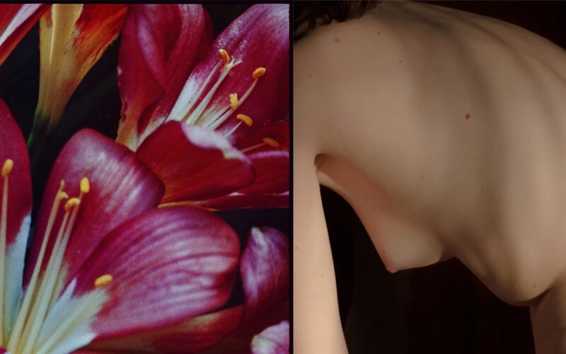 © Juliette Alhmah