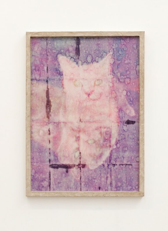 © Mathieu Roquigny / Courtesy of the artist and UnRepresented by salon Approche