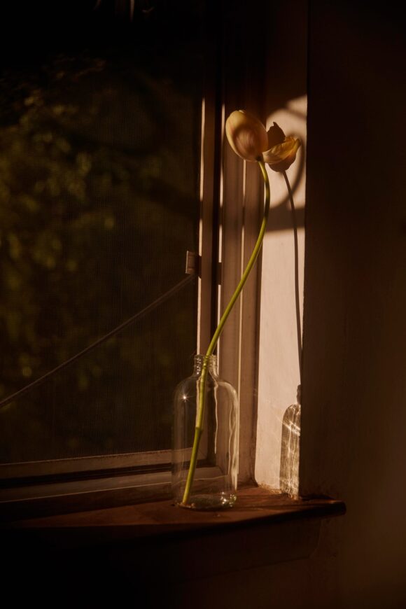© Oumayma Ben Tanfous