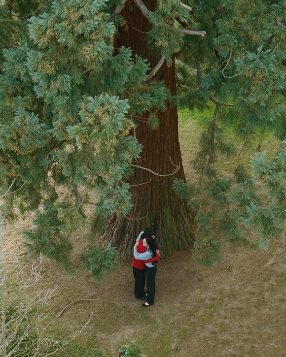 © Ruizhe Hong