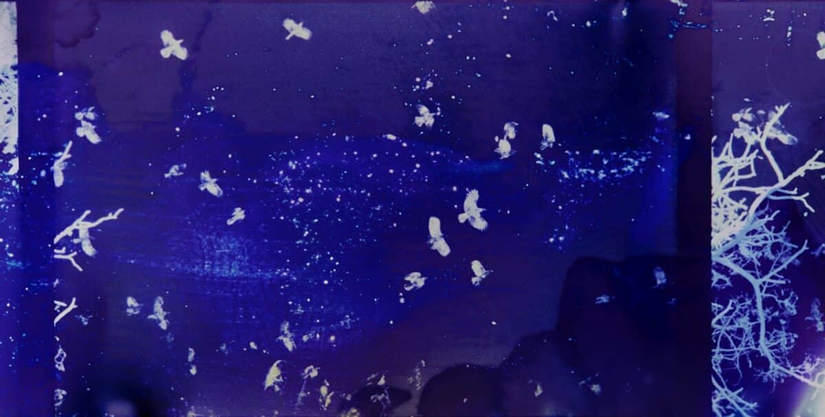 © Tamaki Yoshida