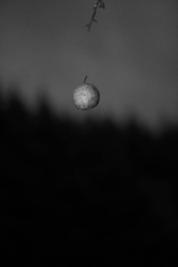 © Tommaso Gallinaro