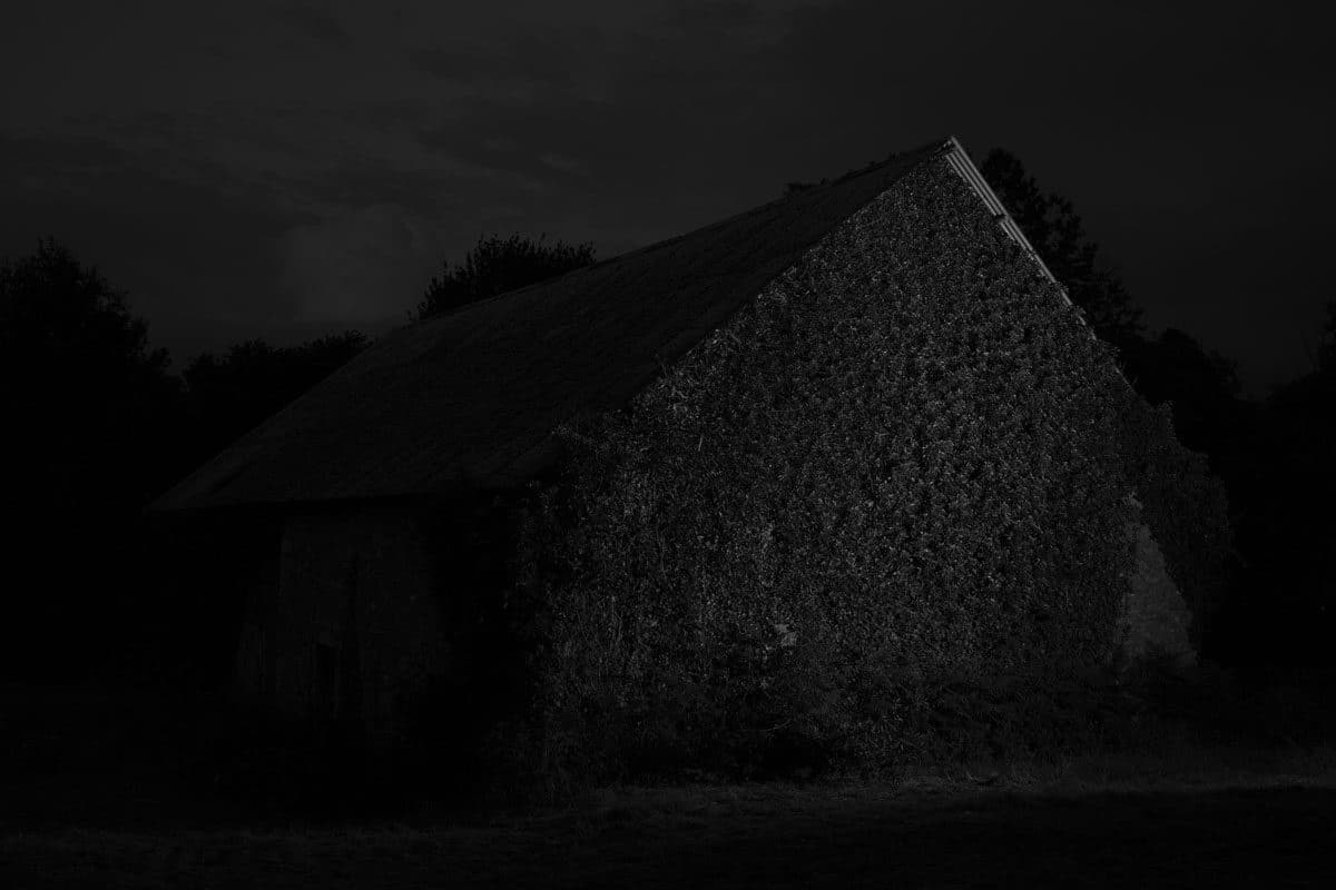 © Tommaso Gallinaro
