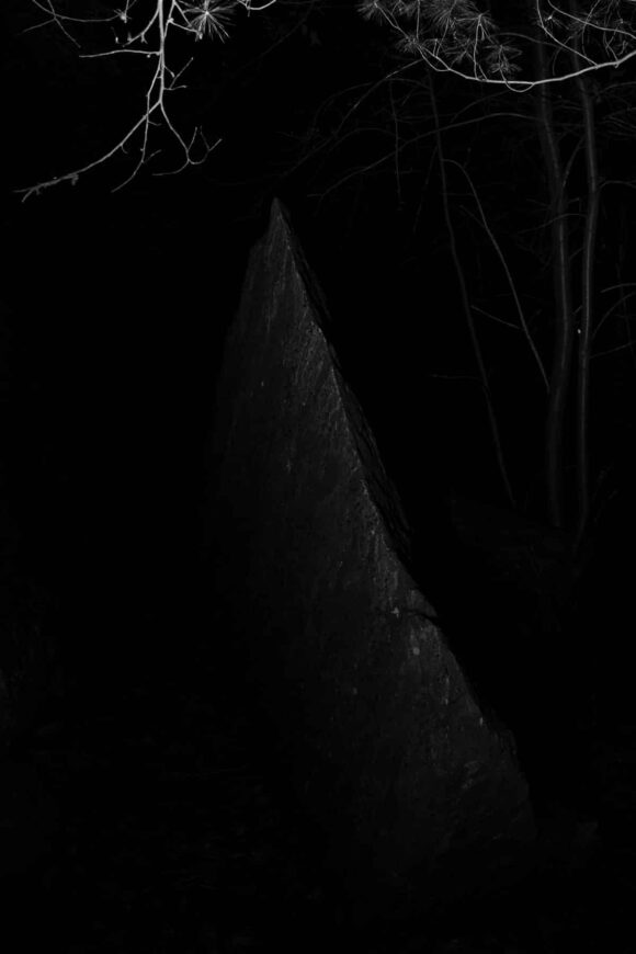 © Tommaso Gallinaro