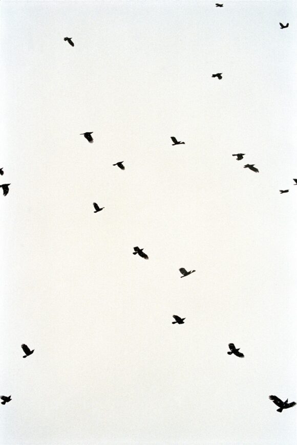 © Yann Stofer