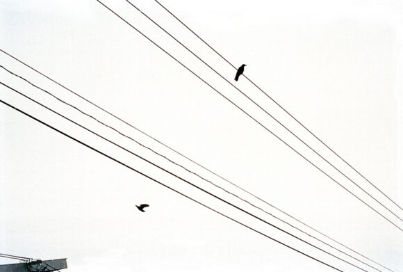 © Yann Stofer