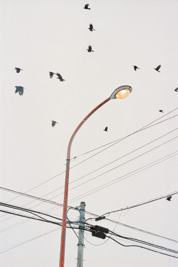 © Yann Stofer
