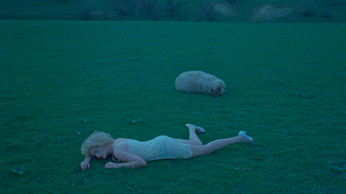 © Yelena Yemchuk