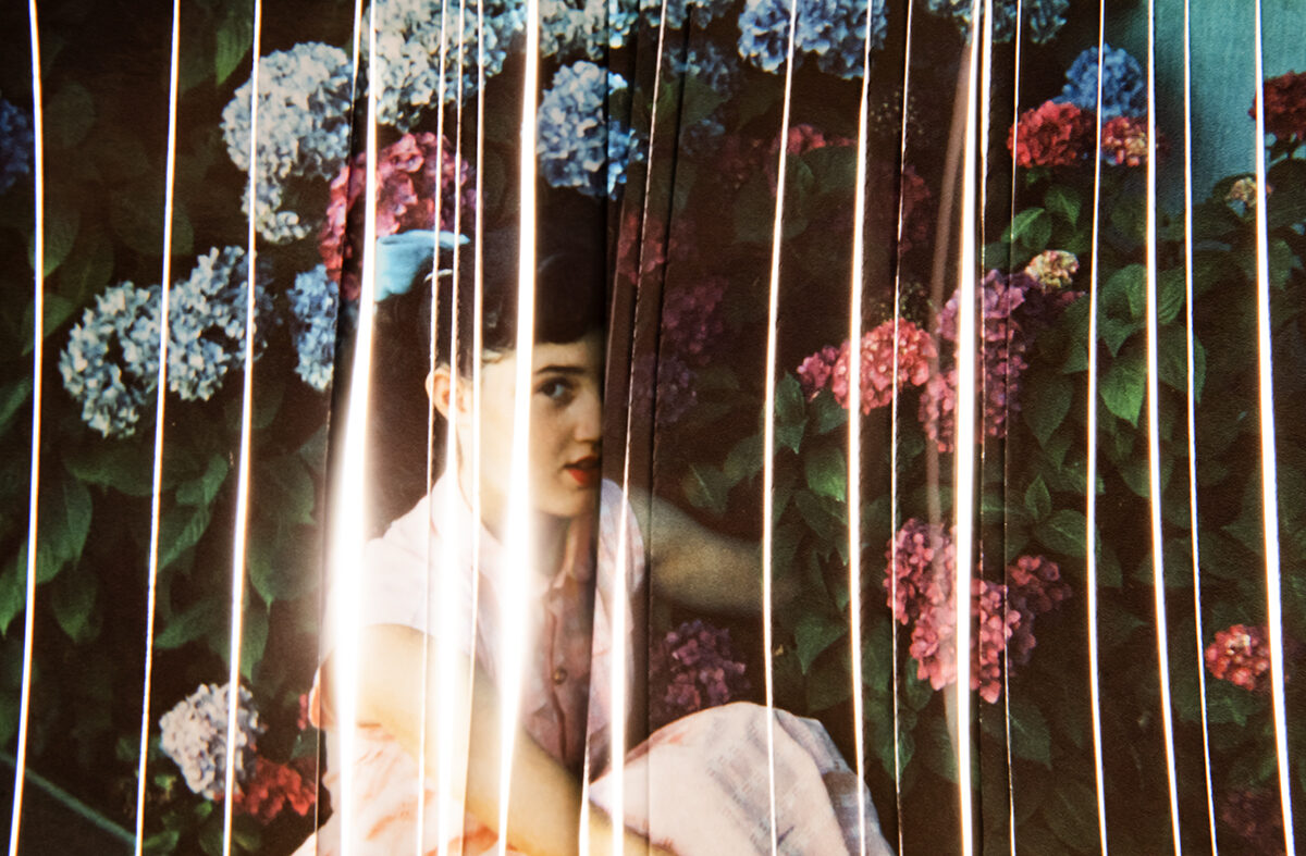 © Amy Friend