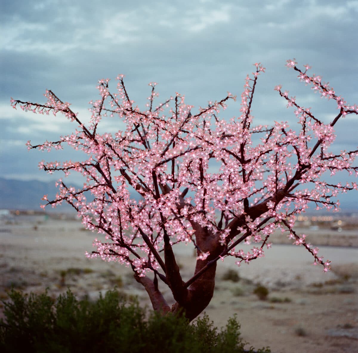 © Ronan Guillou