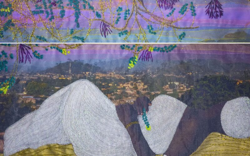 © Joana Choumali