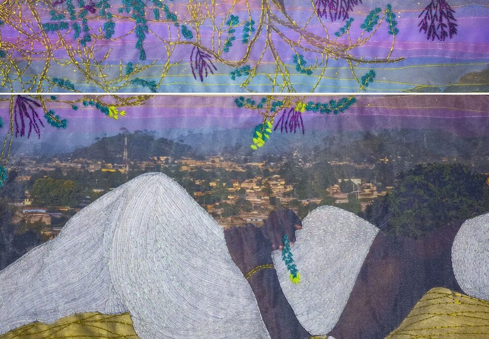 © Joana Choumali
