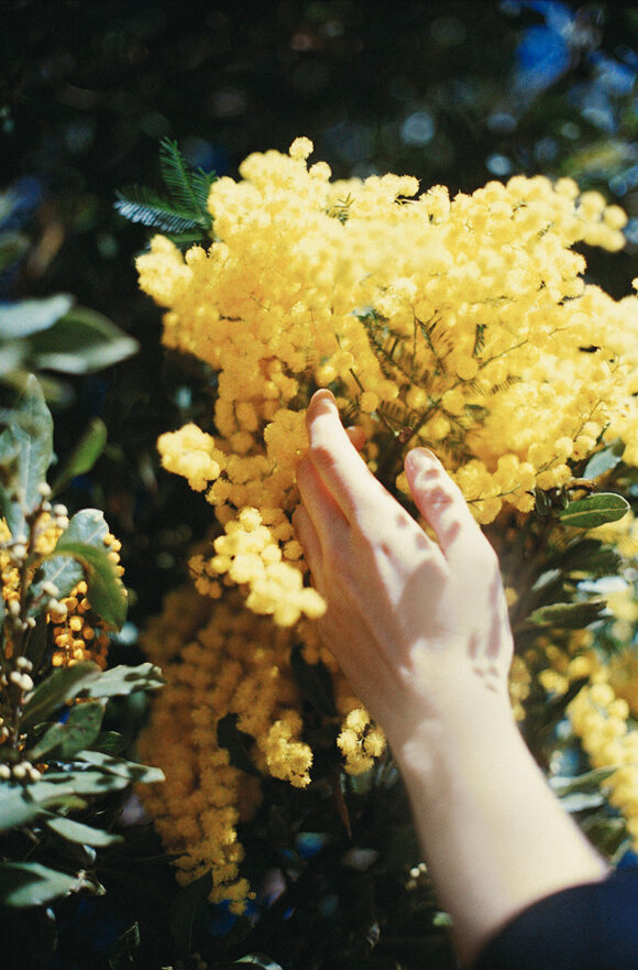 © Aude Carleton