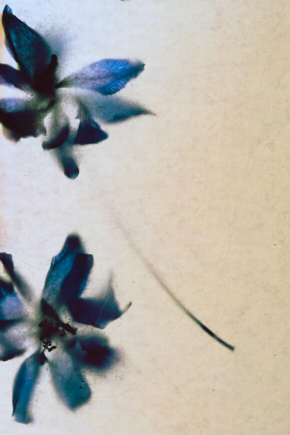 © Annabelle Foucher