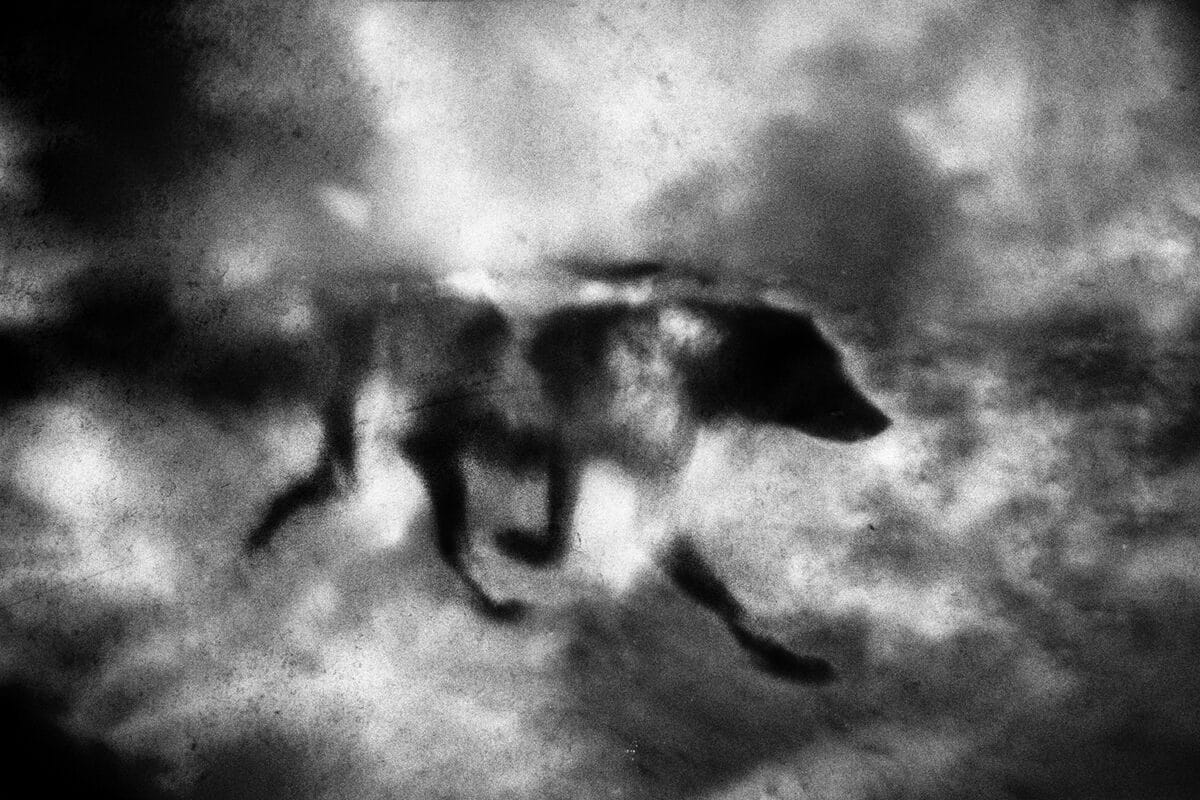 Collection PhotoSerie 1 © David Siodos