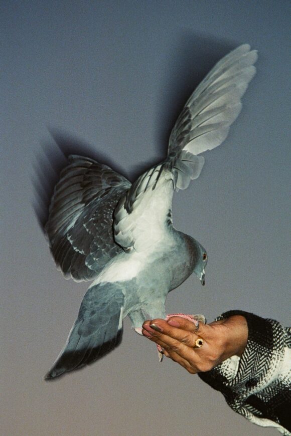 © Chloé Lamidey