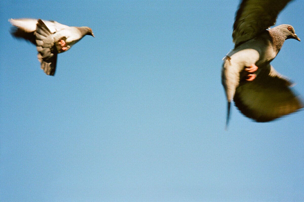 © Chloé Lamidey