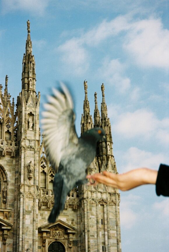 © Chloé Lamidey