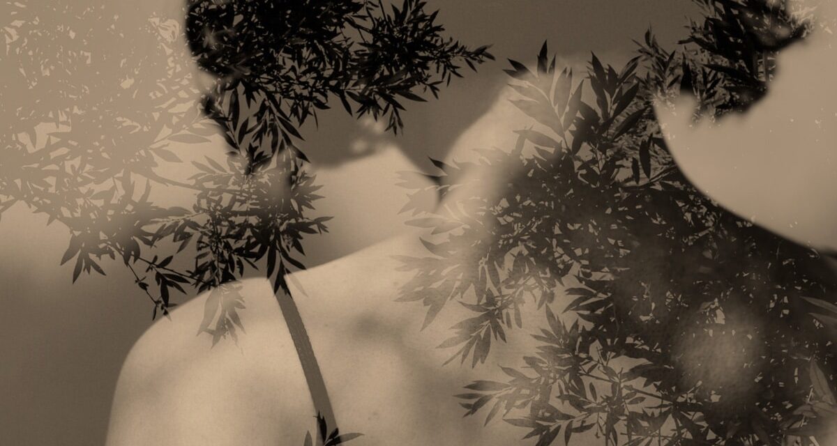 © Paul Cupido