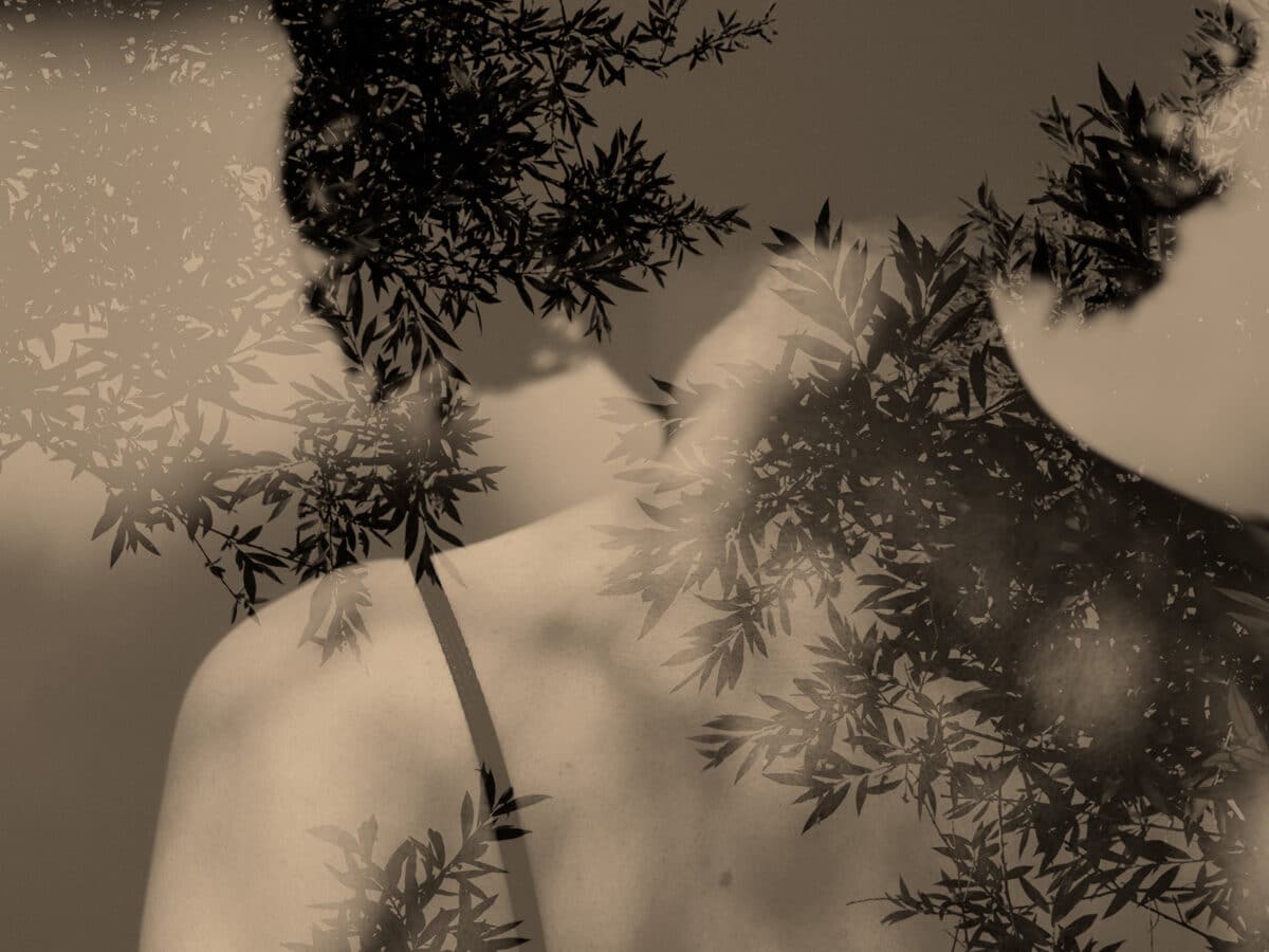 © Paul Cupido