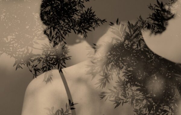 © Paul Cupido