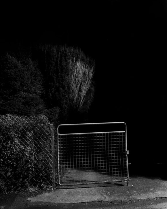 © Robert Darch