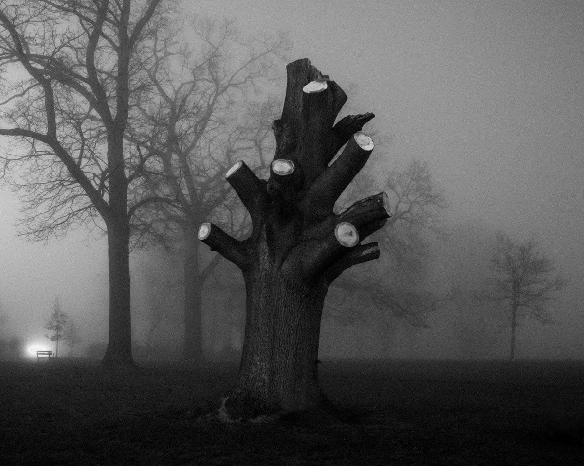 © Robert Darch