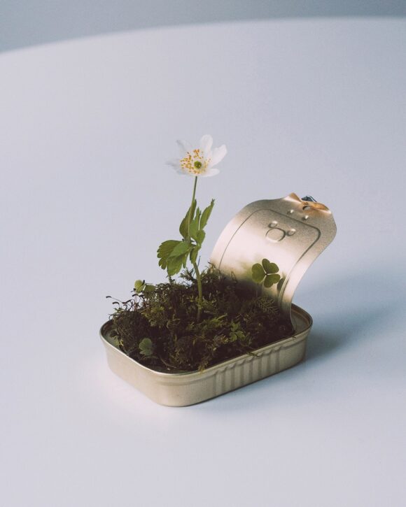 © Sofie Sund