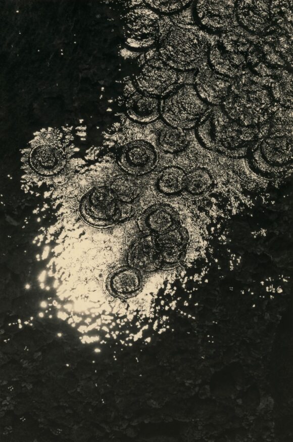 © Yamamoto Masao