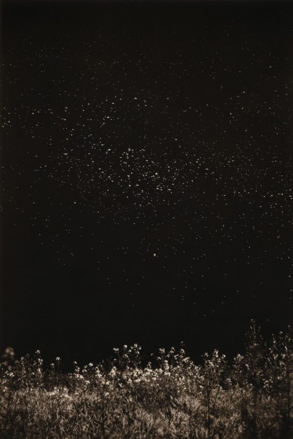 © Yamamoto Masao