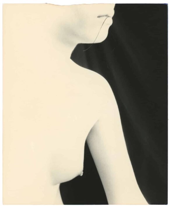 © Yamamoto Masao