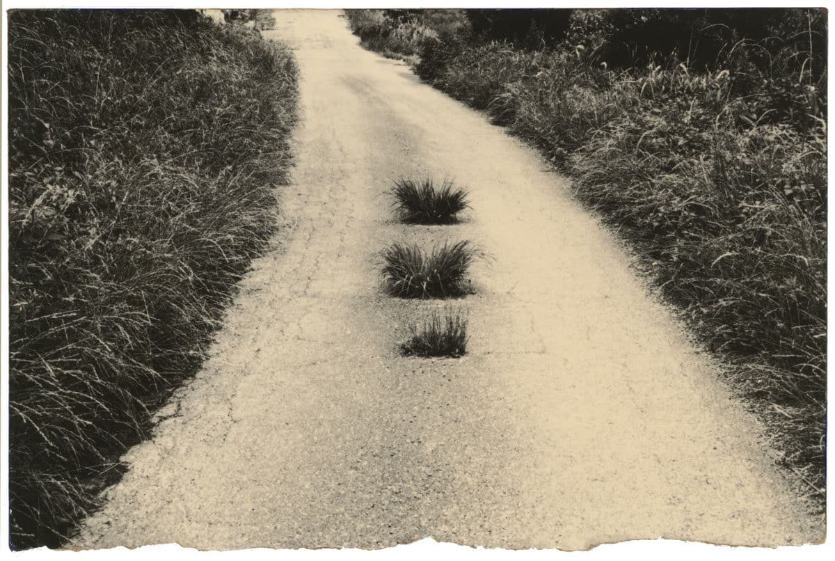 © Yamamoto Masao