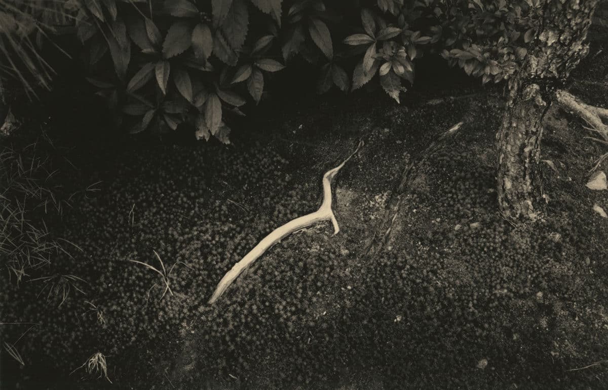 © Yamamoto Masao