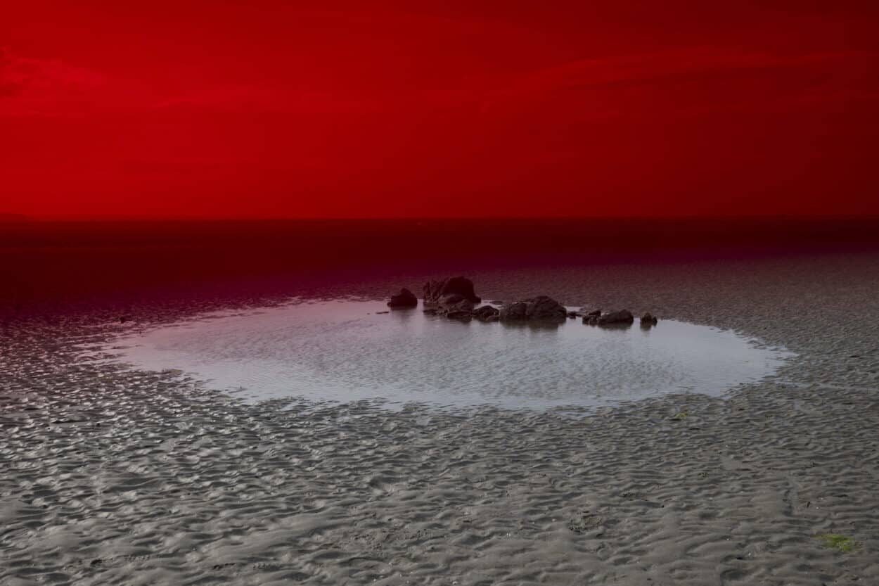 © Alice Pallot