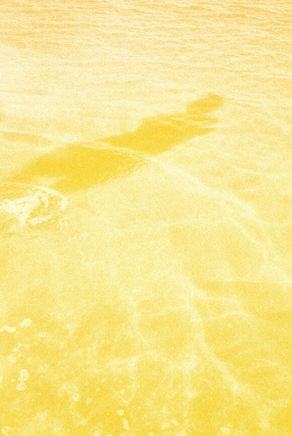 © Chloé Wasp
