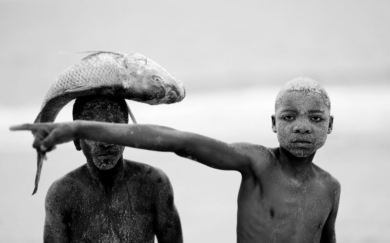 © Mário Macilau / Movart Gallery
