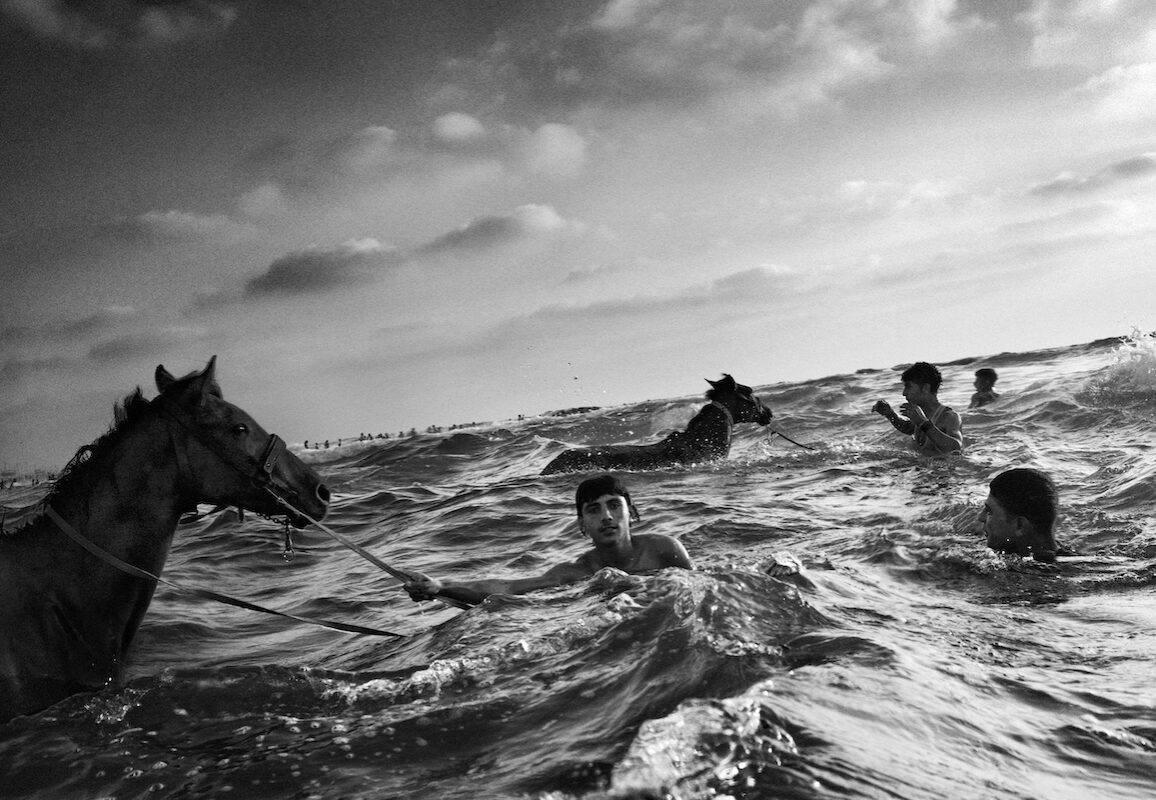 © Andrew Mcconnell