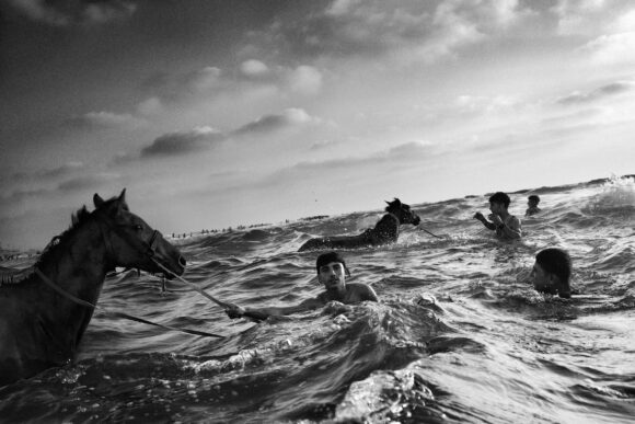 © Andrew Mcconnell