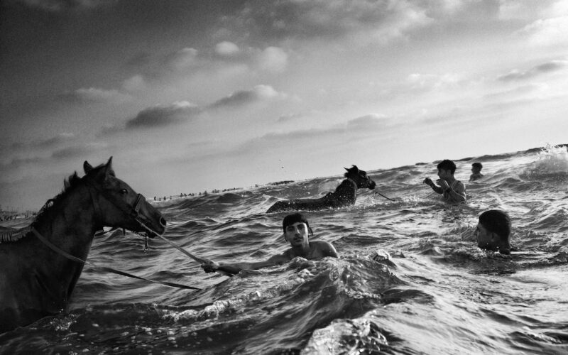 © Andrew Mcconnell