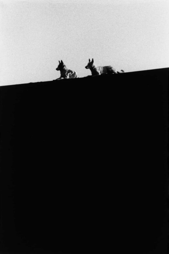 © Chris Mann