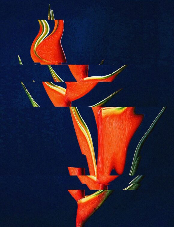 © Elsa Leydier